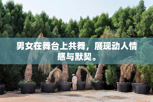 男女在舞台上共舞，展现动人情感与默契。