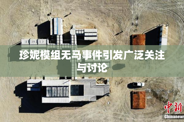 珍妮模组无马事件引发广泛关注与讨论