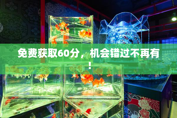 免费获取60分，机会错过不再有！