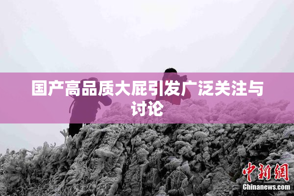 国产高品质大屁引发广泛关注与讨论