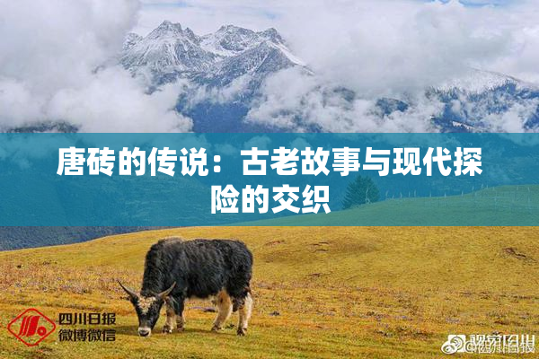 唐砖的传说：古老故事与现代探险的交织