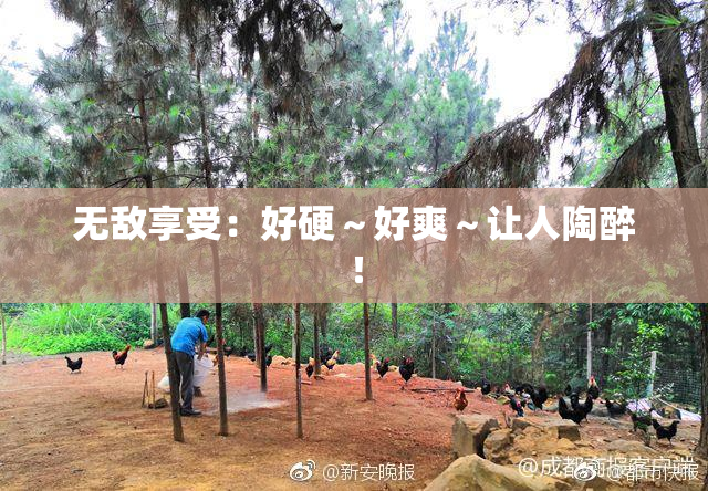 无敌享受：好硬～好爽～让人陶醉！