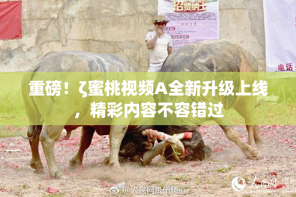 重磅！ζ蜜桃视频A全新升级上线，精彩内容不容错过