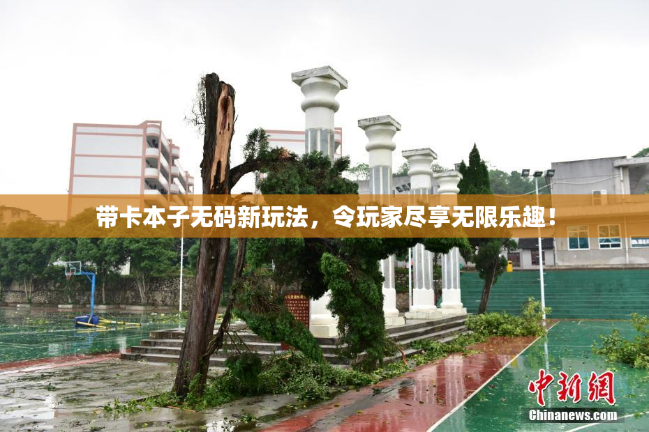 带卡本子无码新玩法，令玩家尽享无限乐趣！