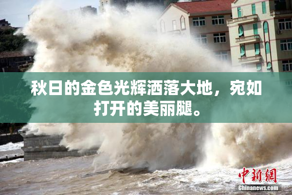 秋日的金色光辉洒落大地，宛如打开的美丽腿。