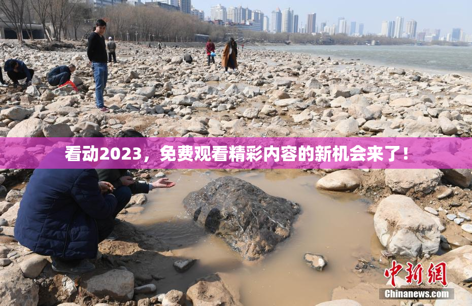 看动2023，免费观看精彩内容的新机会来了！