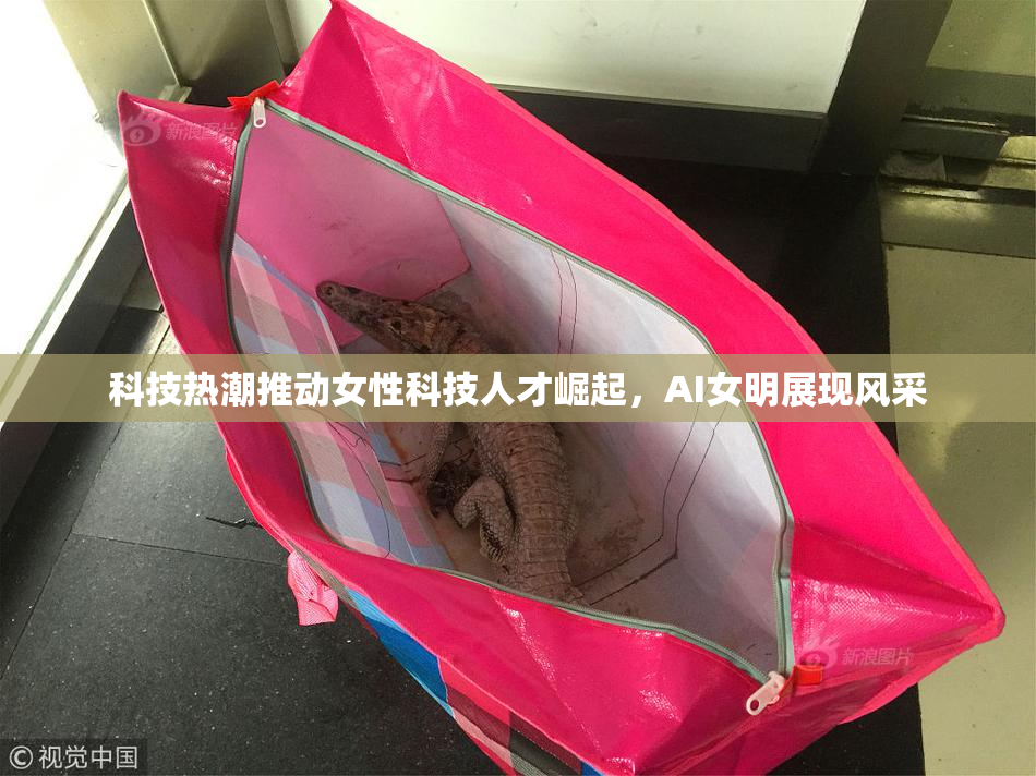 科技热潮推动女性科技人才崛起，AI女明展现风采