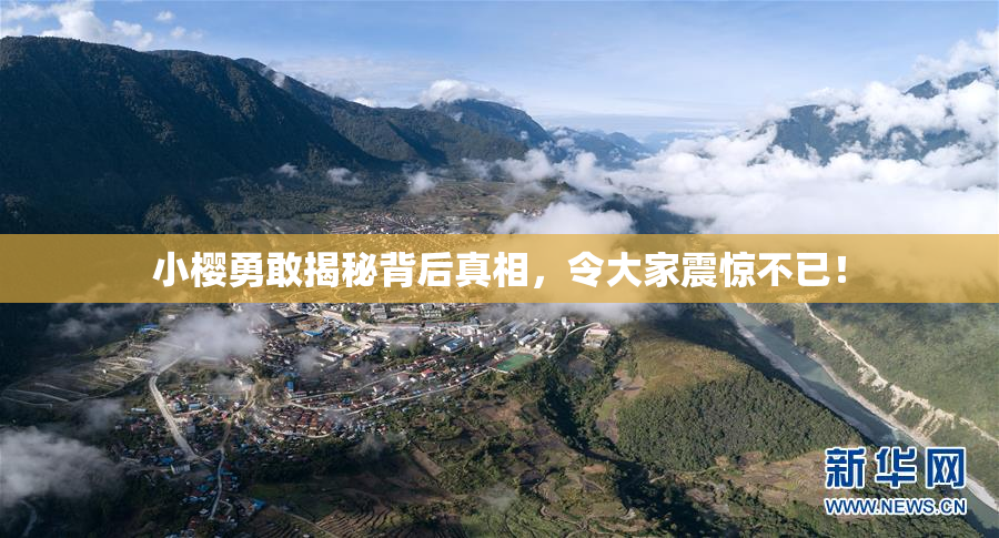 小樱勇敢揭秘背后真相，令大家震惊不已！