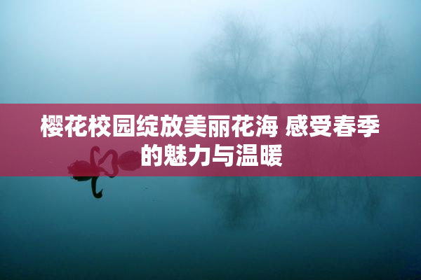 樱花校园绽放美丽花海 感受春季的魅力与温暖