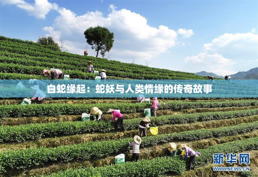 白蛇缘起：蛇妖与人类情缘的传奇故事