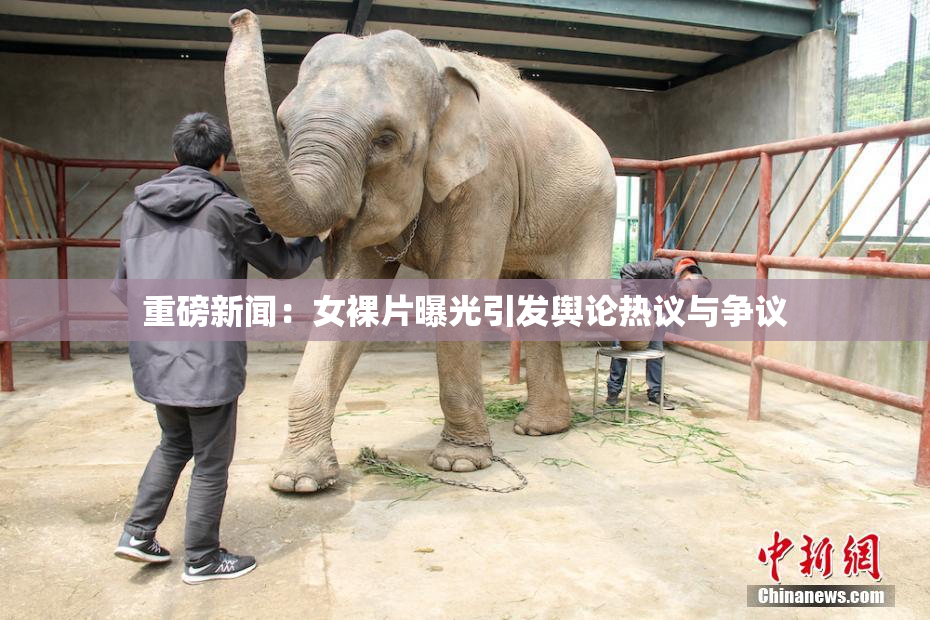 重磅新闻：女裸片曝光引发舆论热议与争议