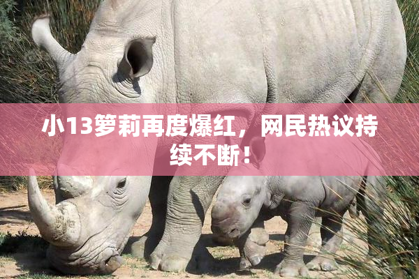 小13箩莉再度爆红，网民热议持续不断！