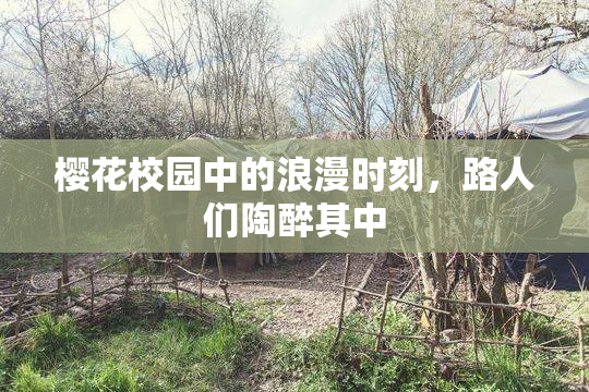 樱花校园中的浪漫时刻，路人们陶醉其中