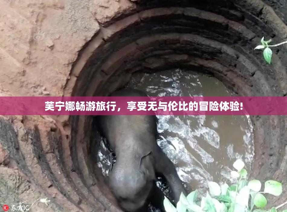 芙宁娜畅游旅行，享受无与伦比的冒险体验!