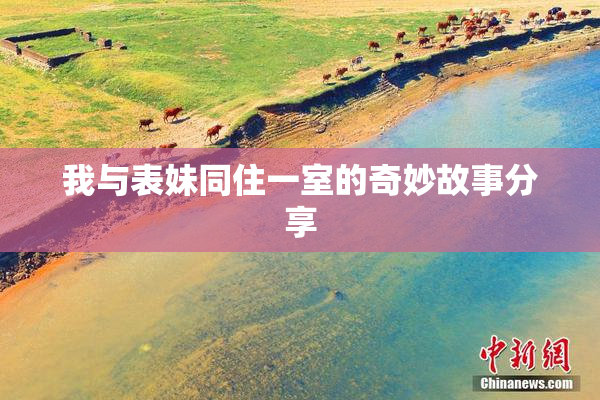 我与表妹同住一室的奇妙故事分享