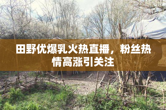 田野优爆乳火热直播，粉丝热情高涨引关注