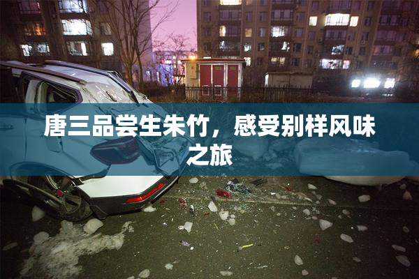 唐三品尝生朱竹，感受别样风味之旅