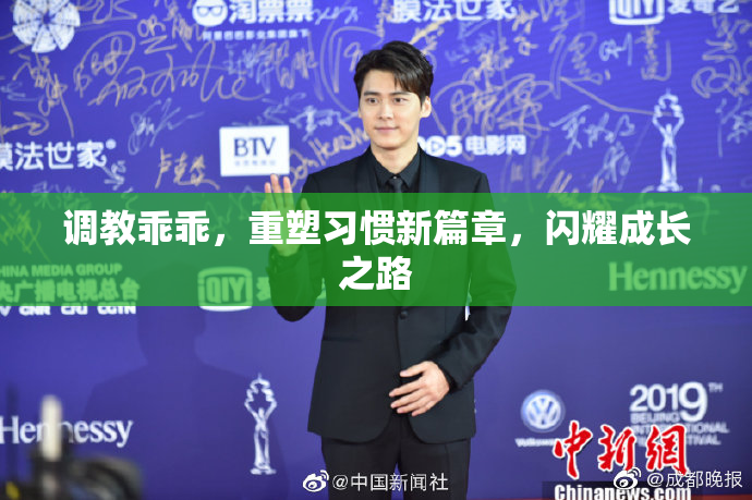调教乖乖，重塑习惯新篇章，闪耀成长之路