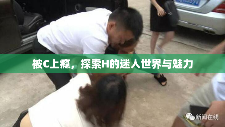 被C上瘾，探索H的迷人世界与魅力