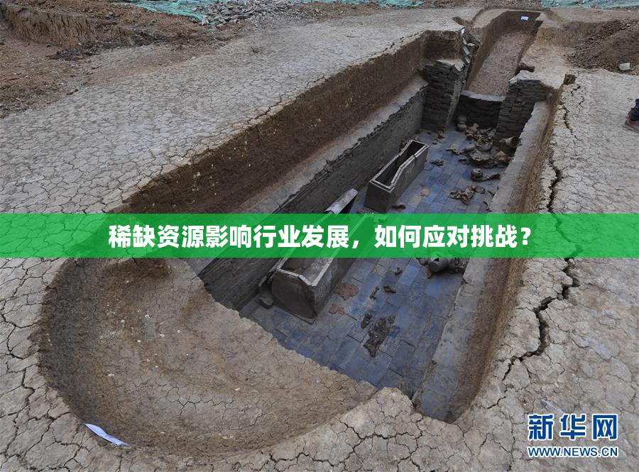 稀缺资源影响行业发展，如何应对挑战？