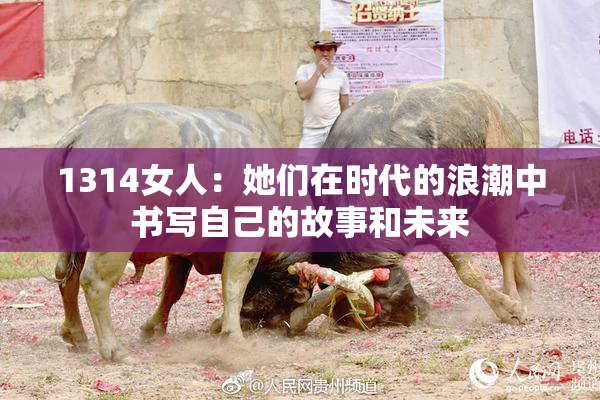1314女人：她们在时代的浪潮中书写自己的故事和未来