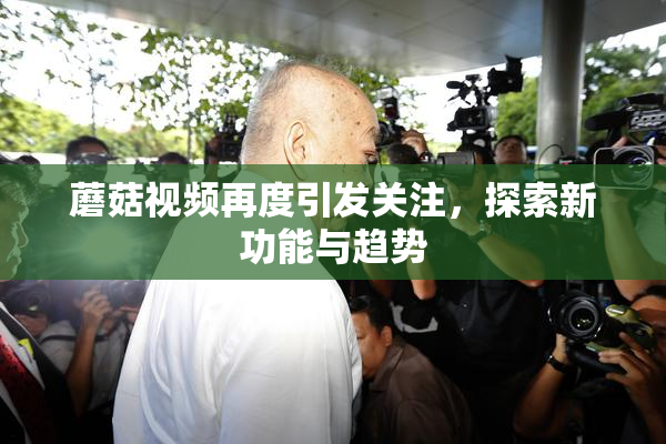 蘑菇视频再度引发关注，探索新功能与趋势