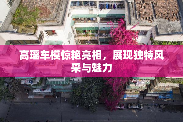 高瑶车模惊艳亮相，展现独特风采与魅力