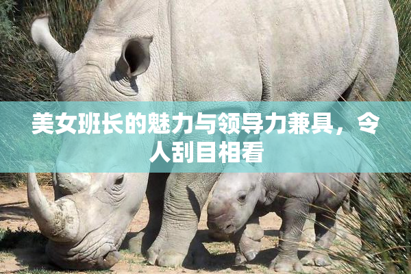 美女班长的魅力与领导力兼具，令人刮目相看