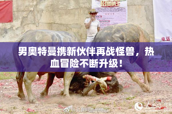 男奥特曼携新伙伴再战怪兽，热血冒险不断升级！