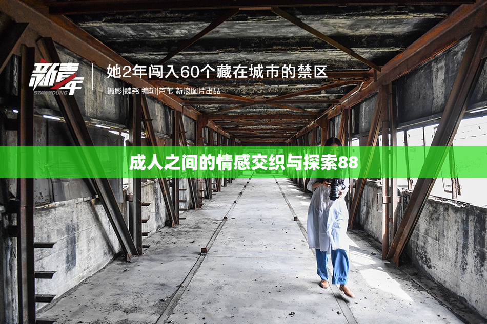 成人之间的情感交织与探索88