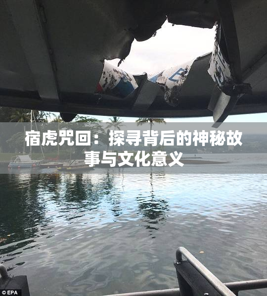 宿虎咒回：探寻背后的神秘故事与文化意义