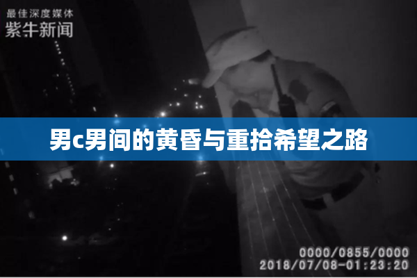 男c男间的黄昏与重拾希望之路