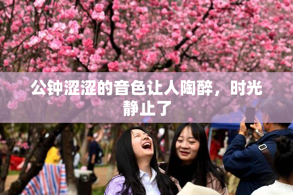 公钟涩涩的音色让人陶醉，时光静止了