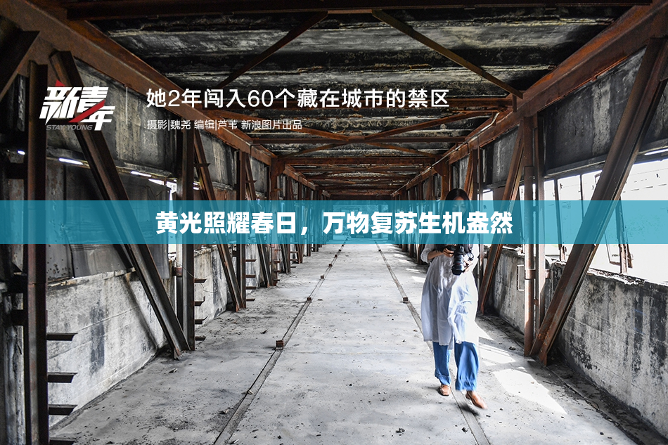 黄光照耀春日，万物复苏生机盎然