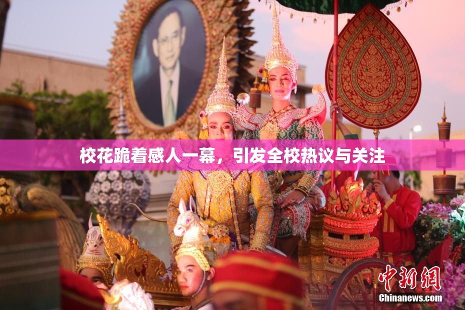 校花跪着感人一幕，引发全校热议与关注