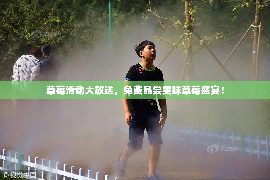 草莓活动大放送，免费品尝美味草莓盛宴！