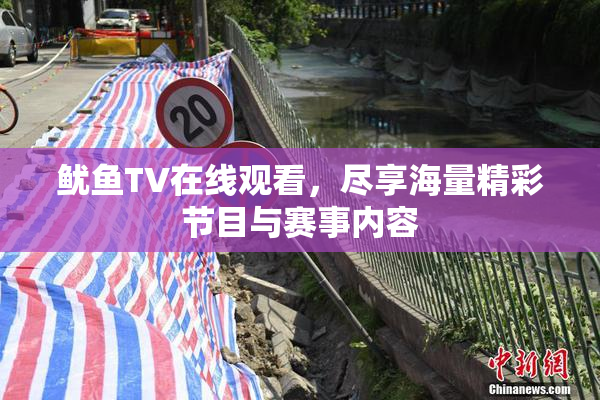 鱿鱼TV在线观看，尽享海量精彩节目与赛事内容