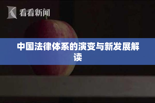 中国法律体系的演变与新发展解读