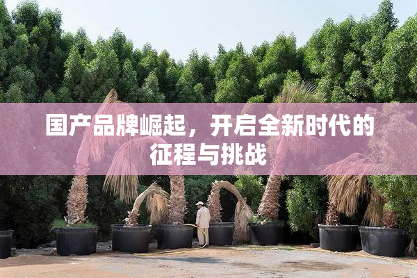 国产品牌崛起，开启全新时代的征程与挑战