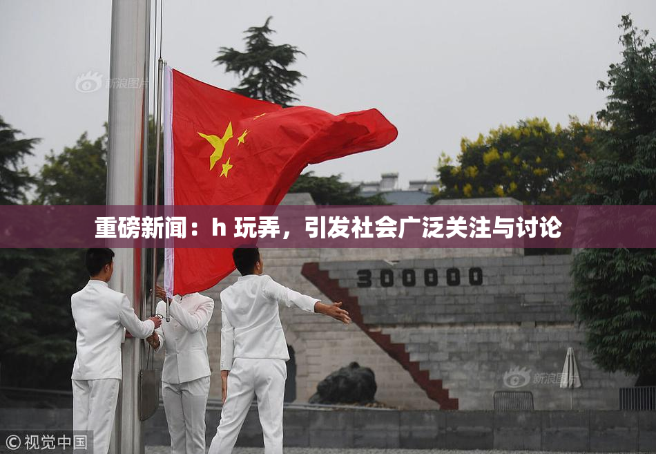重磅新闻：h 玩弄，引发社会广泛关注与讨论