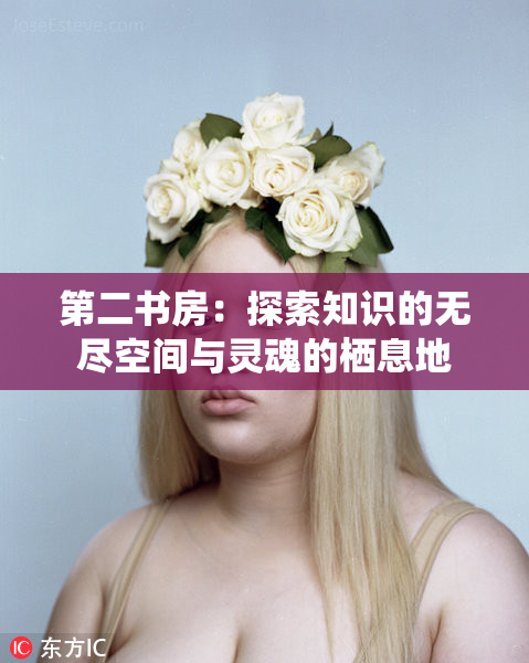 第二书房：探索知识的无尽空间与灵魂的栖息地