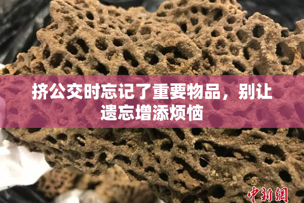 挤公交时忘记了重要物品，别让遗忘增添烦恼