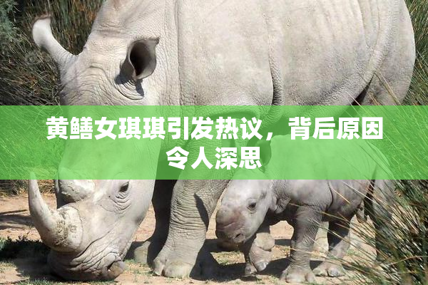 黄鳝女琪琪引发热议，背后原因令人深思