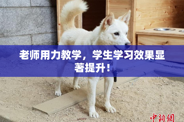 老师用力教学，学生学习效果显著提升！