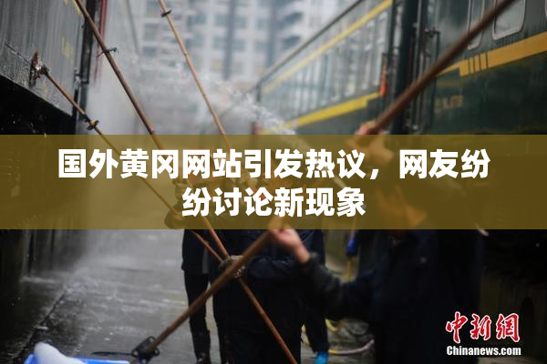 国外黄冈网站引发热议，网友纷纷讨论新现象