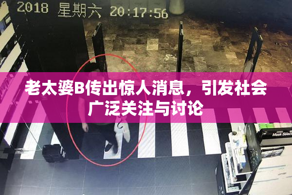 老太婆B传出惊人消息，引发社会广泛关注与讨论