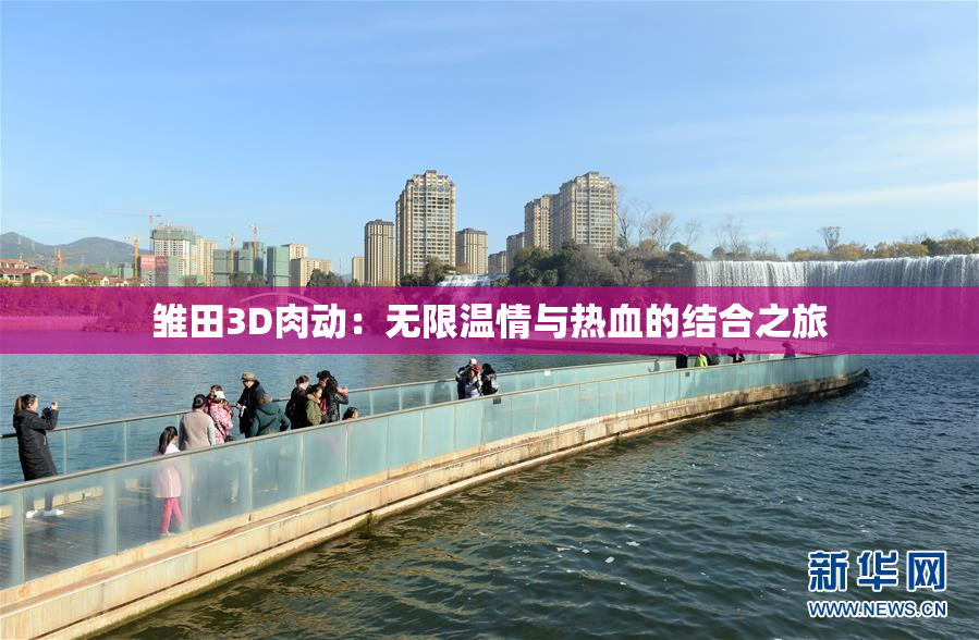 雏田3D肉动：无限温情与热血的结合之旅