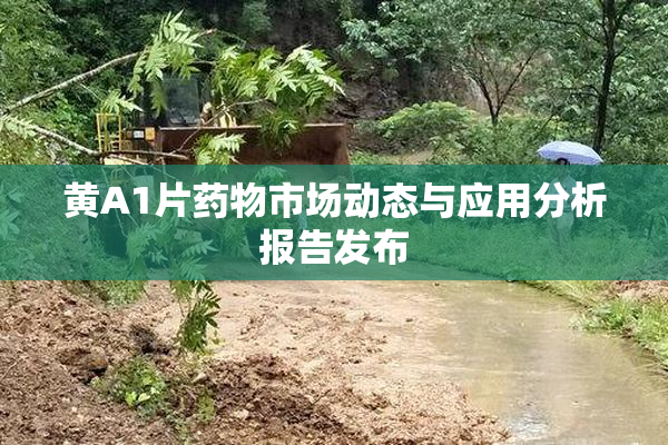 黄A1片药物市场动态与应用分析报告发布