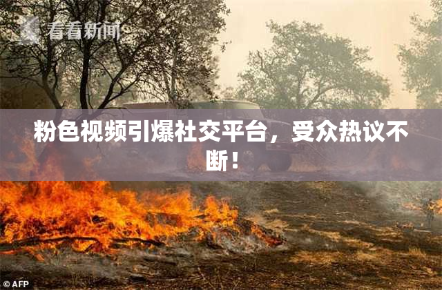 粉色视频引爆社交平台，受众热议不断！