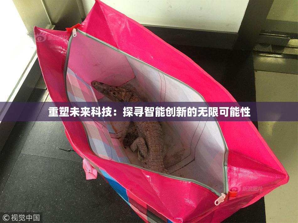 重塑未来科技：探寻智能创新的无限可能性